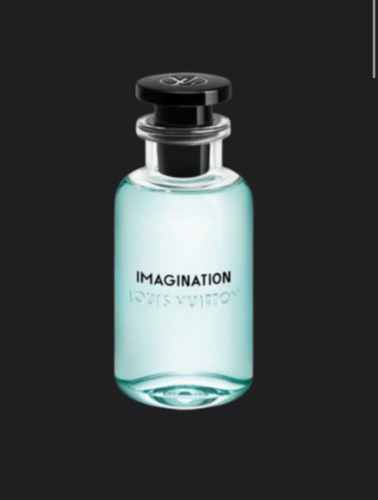 LV imagination